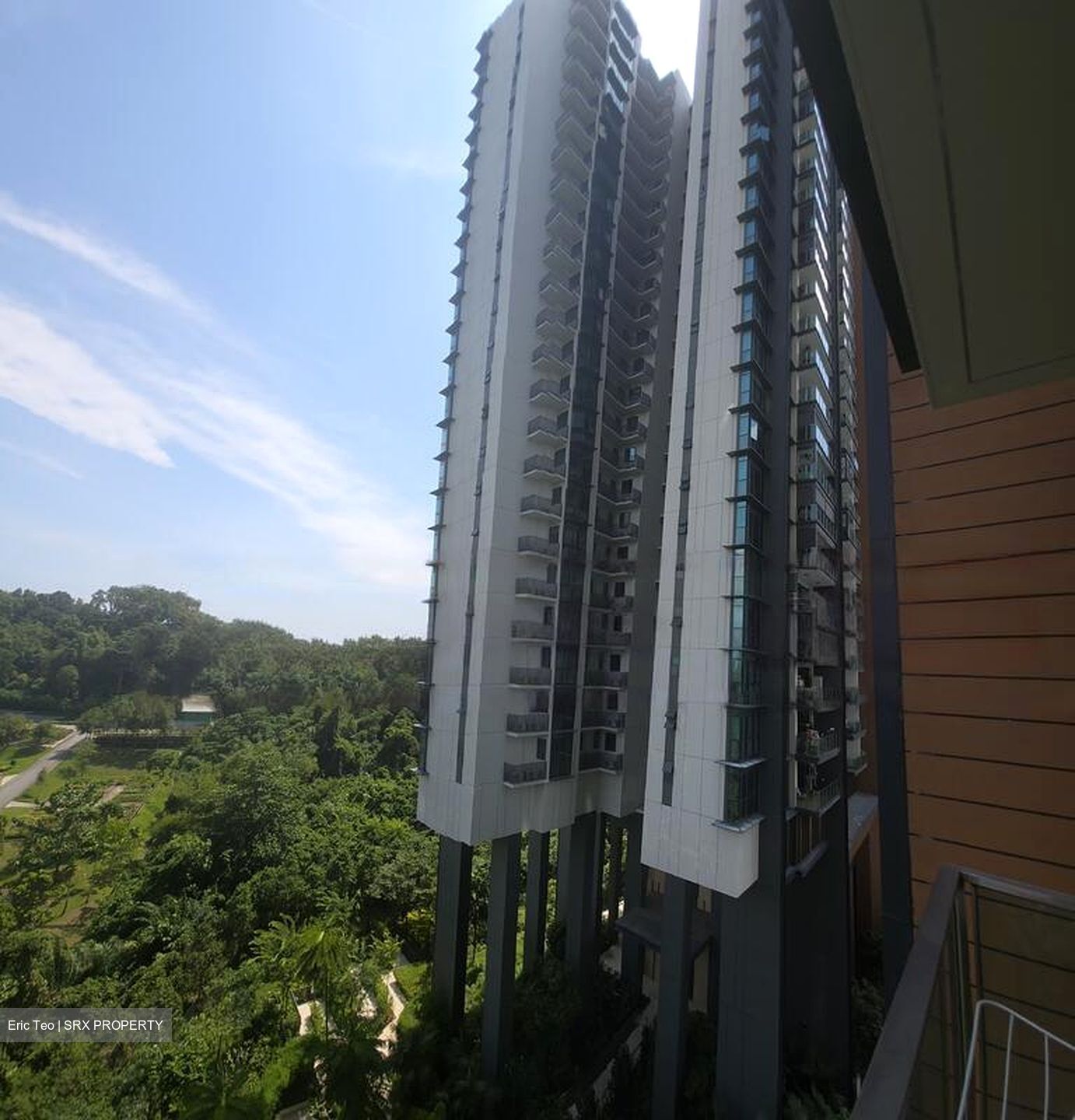 Normanton Park (D5), Apartment #485596341